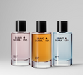 BRAVO Scent Edit Bundle